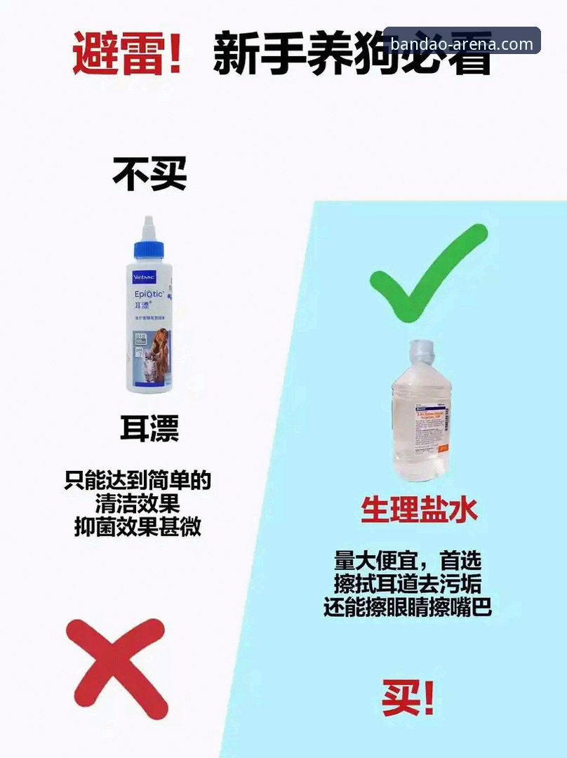 新手必看！流畅体育直播实用指南：从下载到观看的完整攻略