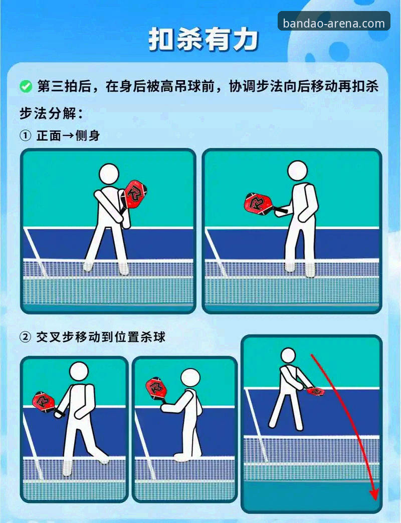 半岛综合体育怎么玩？从零到精通的操作教程